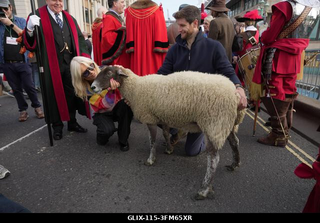 Gaby Roslin jelen van, amint Gloria Hunniford juhokat hajt át a Southwark hídon Londonban a 2026-os Woolmen's Sheep Drive során. A Woolmen's Sheep...
