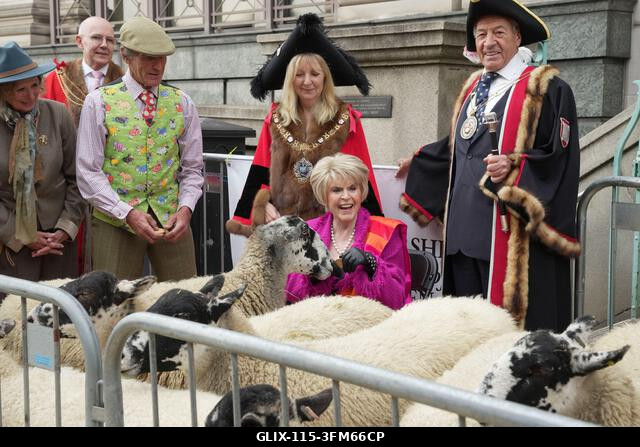 A Worshipful Company of Woolman gyapjúmestere, David Hopkins (jobbra), Dame Susan Langley polgármester asszony és Gloria Hunniford (jobbról a másod...