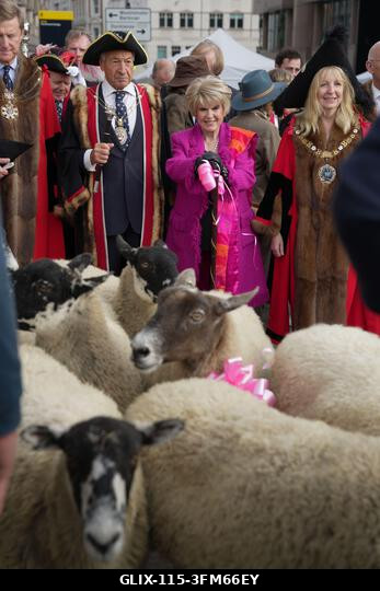 A Worshipful Company gyapjúmestere, David Hopkins (balról a második), Lady Mayor Dame Susan Langley (jobbra) és Gloria Hunniford juhokat hajtanak á...