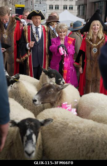 A Worshipful Company gyapjúmestere, David Hopkins (balról a második), Lady Mayor Dame Susan Langley (jobbra) és Gloria Hunniford juhokat hajtanak á...