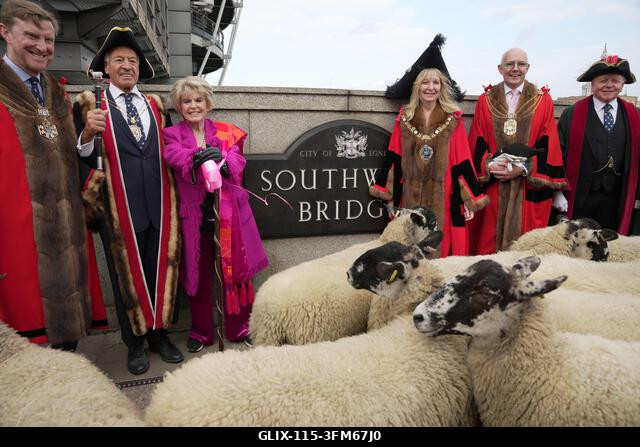 A Worshipful Company Woolman mestere, David Hopkins (balról a második), Dame Susan Langley polgármester asszony (jobbról a harmadik) és Gloria Hunn...