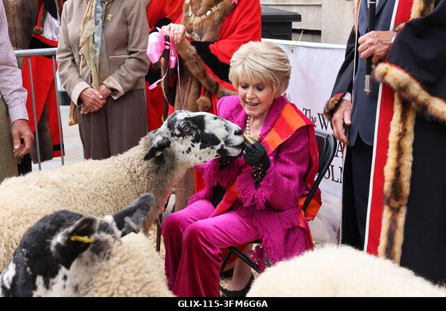 London, Egyesült Királyság, 2026. szeptember 27. A nemzeti kincs és műsorszolgáltató, Gloria Hunniford OBE vezette a 2026-os Woolmens' Sheep Drive...