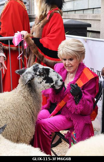 London, Egyesült Királyság, 2026. szeptember 27. A nemzeti kincs és műsorszolgáltató, Gloria Hunniford OBE vezette a 2026-os Woolmens' Sheep Drive...