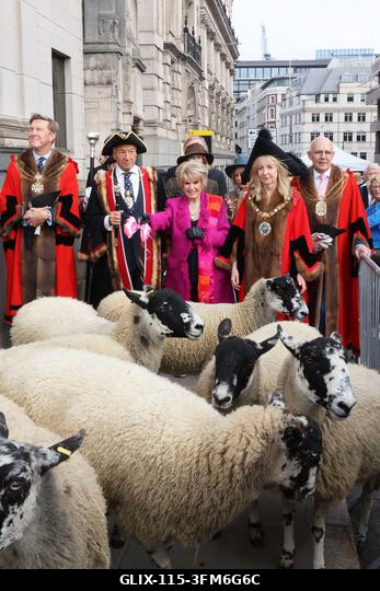 London, Egyesült Királyság, 2026. szeptember 27. A nemzeti kincs és műsorszolgáltató, Gloria Hunniford OBE vezette a 2026-os Woolmens' Sheep Drive...