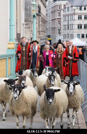 London, Egyesült Királyság, 2026. szeptember 27. A nemzeti kincs és műsorszolgáltató, Gloria Hunniford OBE vezette a 2026-os Woolmens' Sheep Drive...