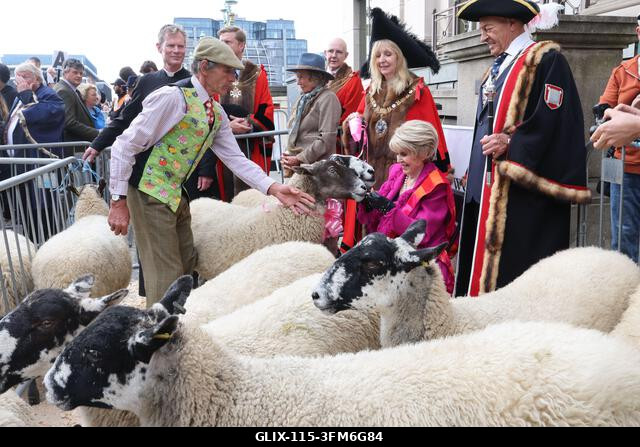 London, Egyesült Királyság, 2026. szeptember 27. A nemzeti kincs és műsorszolgáltató, Gloria Hunniford OBE vezette a 2026-os Woolmens' Sheep Drive...