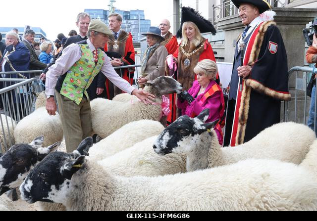 London, Egyesült Királyság, 2026. szeptember 27. A nemzeti kincs és műsorszolgáltató, Gloria Hunniford OBE vezette a 2026-os Woolmens' Sheep Drive...