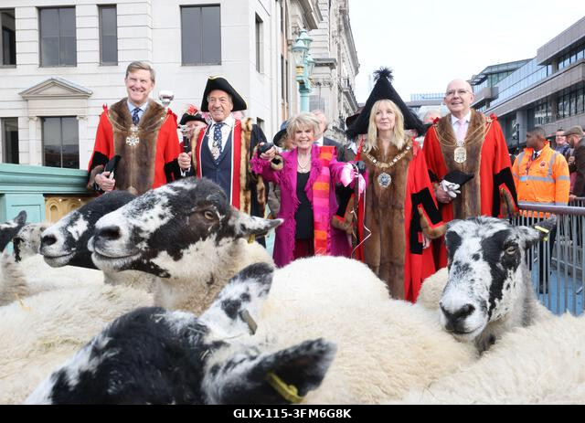 London, Egyesült Királyság, 2026. szeptember 27. A nemzeti kincs és műsorszolgáltató, Gloria Hunniford OBE vezette a 2026-os Woolmens' Sheep Drive...