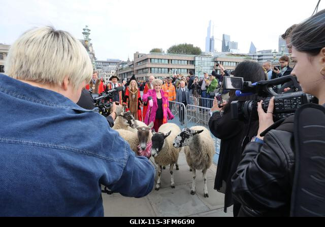 London, Egyesült Királyság, 2026. szeptember 27. A nemzeti kincs és műsorszolgáltató, Gloria Hunniford OBE vezette a 2026-os Woolmens' Sheep Drive...