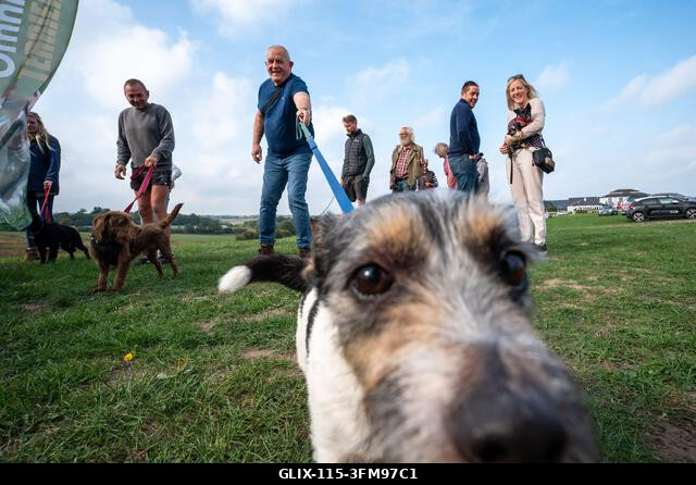 Egy terrier, amint a 2026-os, Surrey-ben található Epsom Racecourse-on megrendezett Terrier Derbyn versenyez. Terrierek versenyeztek az Epsom Racec...