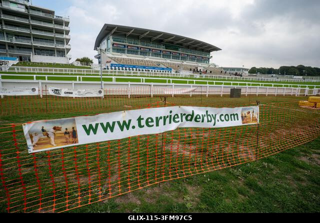 Táblák a 2026-os Terrier Derby népszerűsítésére az Epsom Racecourse-en, Surrey-ben. Terrierek versenyeztek az Epsom Racecourse-en, Surrey-ben megre...