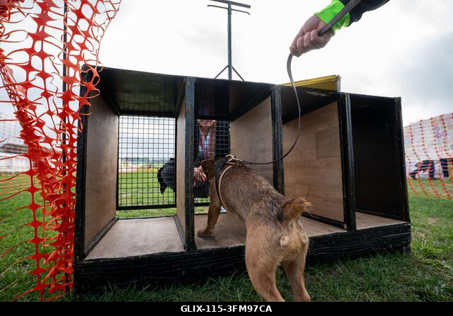 Egy versenyző gazdája berakja terrierjét a rajtdobozba a 2026-os Terrier Derbyn. A terrierek az Epsom Racecourse-on, Surrey-ben megrendezett éves T...