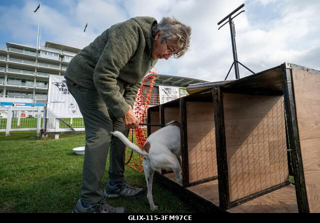 Egy versenyző gazdája berakja terrierjét a rajtdobozba a 2026-os Terrier Derbyn. A terrierek az Epsom Racecourse-on, Surrey-ben megrendezett éves T...