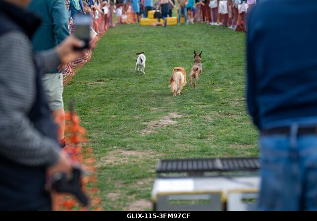 Terrierek versenyeznek a 2026-os Terrier Derbyn, amelyet a surrey-i Epsom Racecourse-on rendeztek. Terrierek versenyeztek az éves Terrier Derbyn, a...