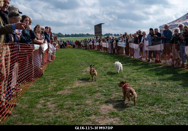 Terrierek versenyeznek a 2026-os Terrier Derbyn, amelyet a surrey-i Epsom Racecourse-on rendeztek. Terrierek versenyeztek az éves Terrier Derbyn, a...