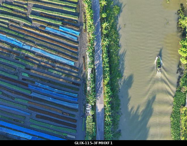 Nazirpur, Pirojpur, Banglades. 2026. szeptember 29. Egy úszó kert Nazirpur Upazilában, Pirojpur kerületben, Bangladesben. Az úszó mezőgazdaság évsz...