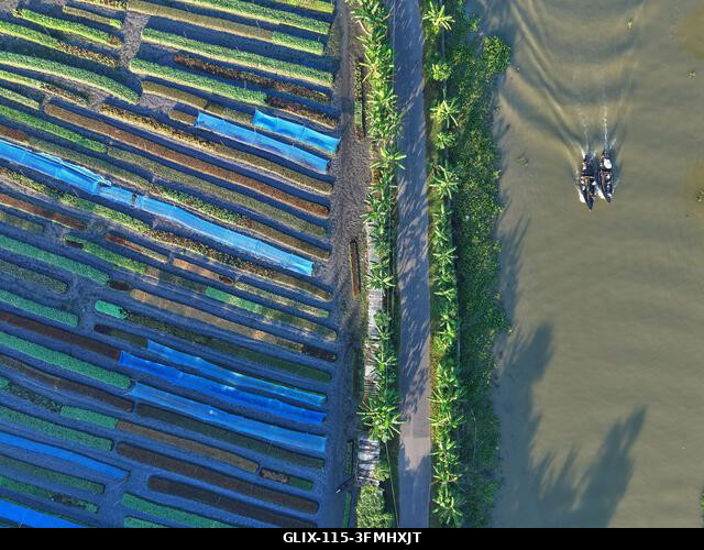Nazirpur, Pirojpur, Banglades. 2026. szeptember 29. Egy úszó kert Nazirpur Upazilában, Pirojpur kerületben, Bangladesben. Az úszó mezőgazdaság évsz...