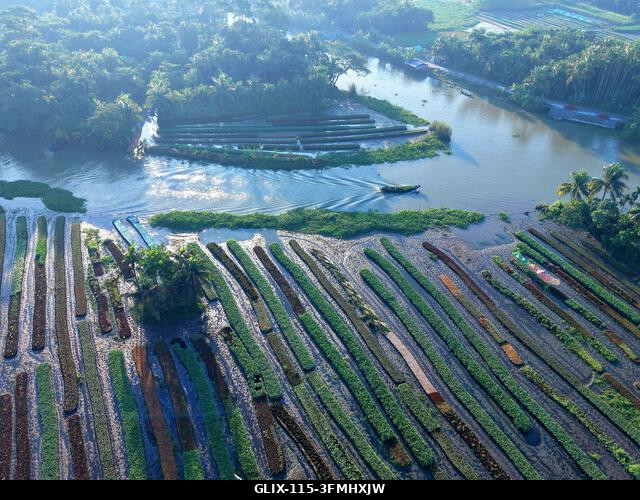 Nazirpur, Pirojpur, Banglades. 2026. szeptember 29. Egy úszó kert Nazirpur Upazilában, Pirojpur kerületben, Bangladesben. Az úszó mezőgazdaság évsz...
