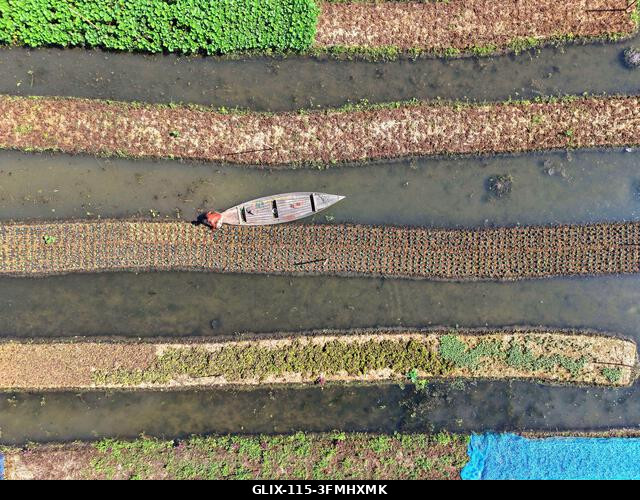 Nazirpur, Pirojpur, Banglades. 2026. szeptember 29. Egy gazda zöldségpalántákat gondoz egy úszó kertben Nazirpur Upazilában, Pirojpur kerületben, B...