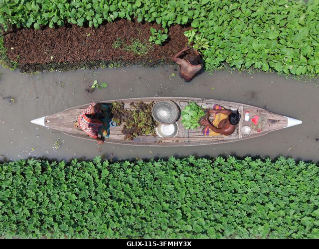 Nazirpur, Pirojpur, Banglades. 2026. szeptember 29. Gazdák zöldségpalántákat nevelnek egy úszó kertben Nazirpur Upazilában, Pirojpur kerületben, Ba...