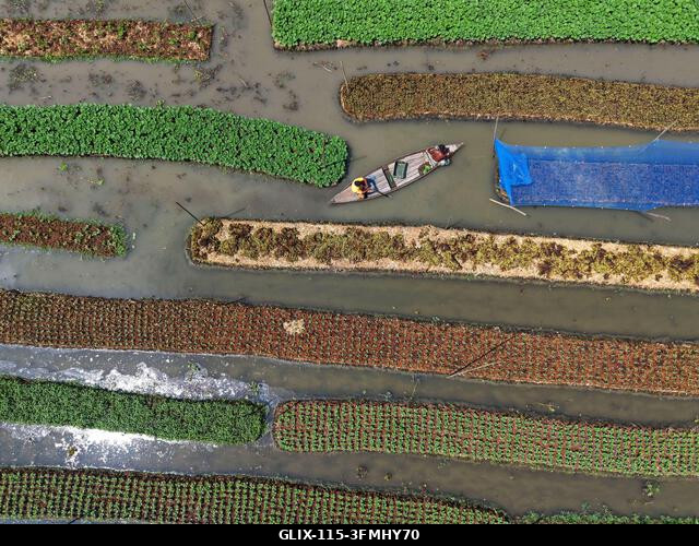 Nazirpur, Pirojpur, Banglades. 2026. szeptember 29. Gazdák zöldségpalántákat nevelnek egy úszó kertben Nazirpur Upazilában, Pirojpur kerületben, Ba...