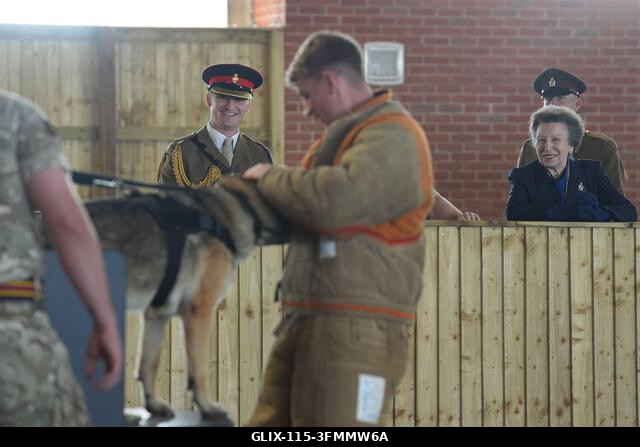 A királyi hercegnő egy támadó kutya harapástréningjét figyeli a rutlandi Oakham megyei Cottesmore-ban található Kendrew laktanyában tett látogatása...