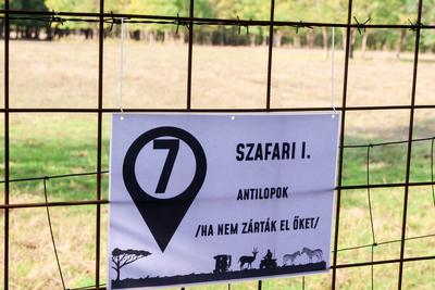 stock-foto