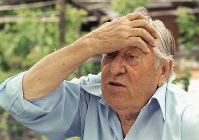 Bessenyei Ferenc a lajosmizsei tany?j?n.1999.06.03.Fot?:V?r?s Szil?rd-stock-foto